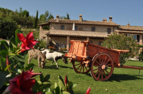 Отель Farm stay Il Carro del Colle  Колваленца